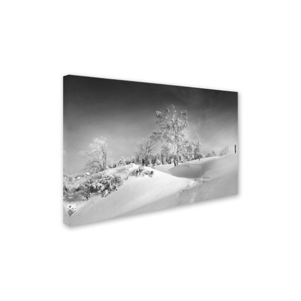 Philippe Sainte-Laudy 'Dressed For Winter B&W' Canvas Art,30x47